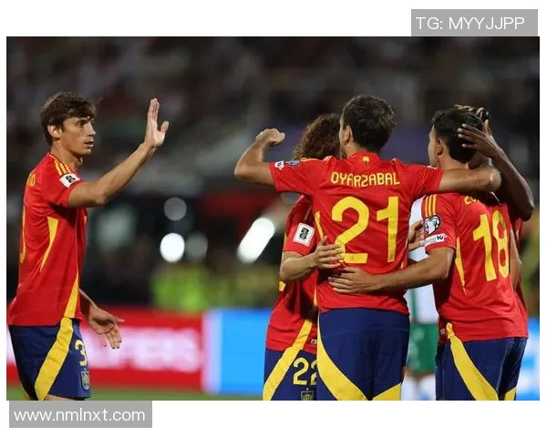 全球球迷热议足球世界杯预选赛各队表现与晋级形势分析